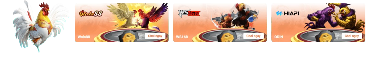 OPEN8888 live đá gà